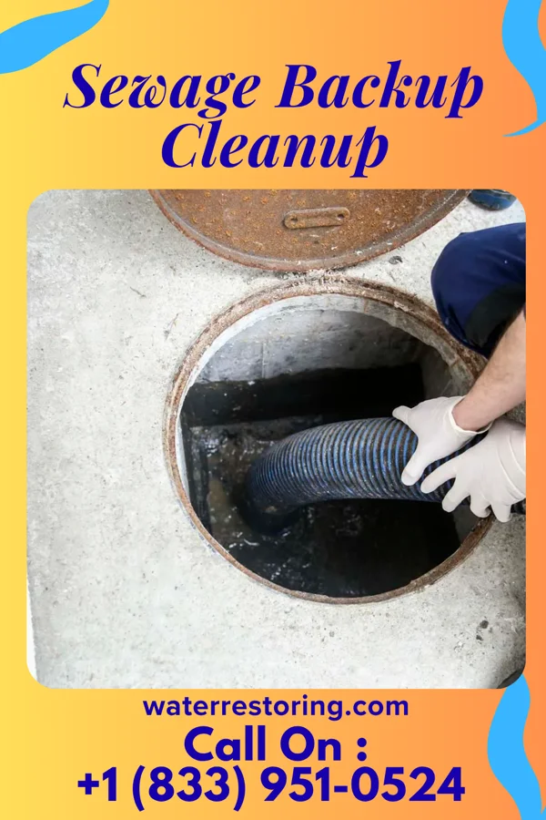 Sewage Backup Cleanup in Satilla, GA